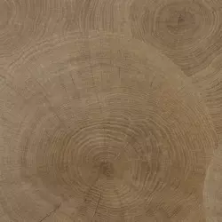 Кварц-винил Ceramo Vinilam Stone Glue 61601 Дуб Натуральный