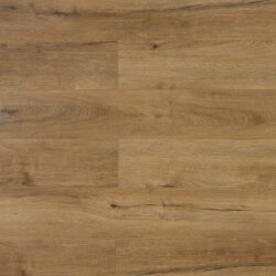 Ламинат Mostfloor Eco Plus (Эко Плюс) 1005 Дуб Сокотра