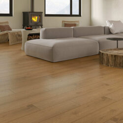 Ламинат Mostfloor Eco Plus (Эко Плюс) 1007 Дуб Мадагаскар — изображение 3