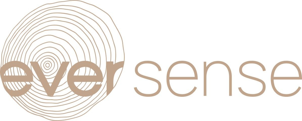eversense logo Главная